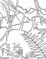 Jungle Rainforest Coloring Pages Drawing Easy Rain Forest Trees Draw Drawings Animals Printable Tropical Kids Color Preschoolers Themed Getdrawings Sheets sketch template