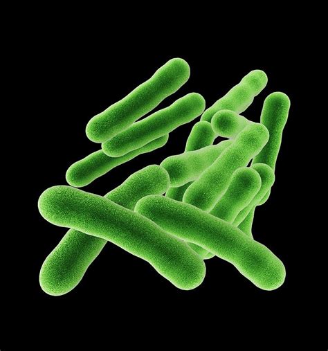 tuberculosis bacteria artwork photograph  mehau kulyk fine art america