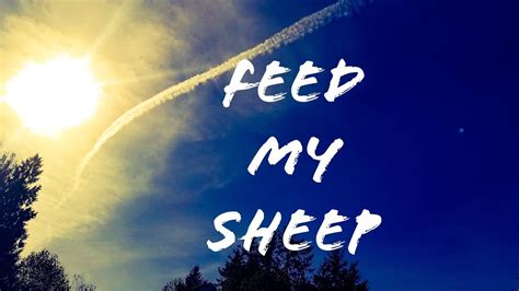 love   feed  sheep youtube
