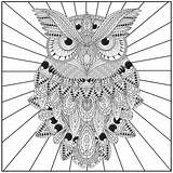 Mandala Owls Getdrawings Albanysinsanity sketch template