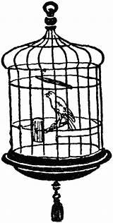 Cage Bird Clipart Canary Clip Vintage Birds Stamp Birdcage Cliparts Parrot Digi Stamps Digital Transparent Library Illustration Graphics Background Birdcages sketch template