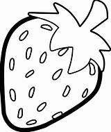 Strawberry Outline Coloring Pages Bold Fruit Easy Colouring Drawing Fruits Kids Choose Board sketch template