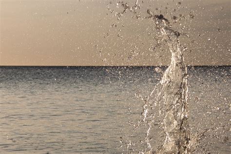 na lange warme fotografie stagedagen met de dolfijnen  het mooie dushi korsow stapte ik