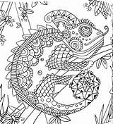 Mandala Mandalas Lizard Adults Lizards Kameleon Selva Colorir Kleurplaten Kleurplaat Camaleonte Ranas Frogs Chameleon Snake Pintura sketch template