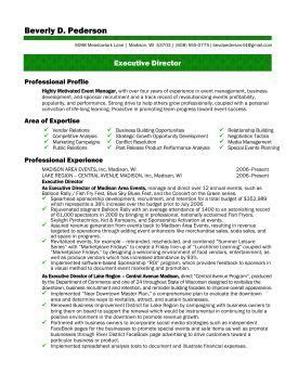 sample resume nonprofit executive director  profit executive resume