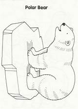 Coloring Animals Polar Arctic Pages Winter Preschool Bear Animal Artic Polo Norte Medvěd Craft Printable Alaska Templates Antarctic Crafts Kids sketch template