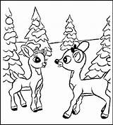Rudolph Reindeer Coloring Red Nosed Pages Winter Children Fun sketch template