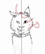 Scourge Warrior Cats Warriors Coloring Cat Drawing Draw Head Pages Getdrawings sketch template