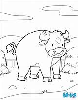 Toro Pasto Vache Pasture Animaux Tablette Ligne Hellokids Animales Designlooter Coloriages Ferme sketch template