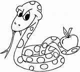 Schlangen Ausmalbilder Malvorlage sketch template