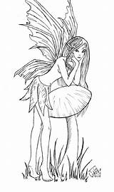 Feen Elfen Fabelwesen Drachen Zeichnungen Malvorlagen Fee Ausmalen Kostenlos Engel Pilz Ausdrucken Ausmalbild Erwachsene Pegasus Coloring Hexen Fairy Greif Zeichen sketch template