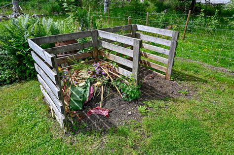 kompost selber bauen tipps tricks und anleitung