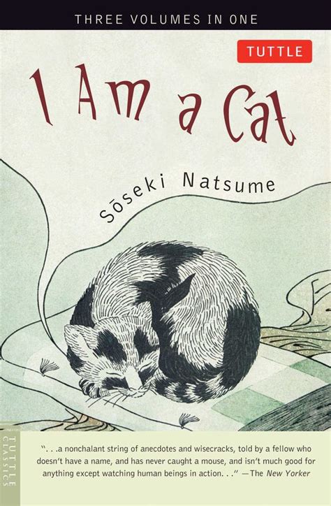 read fiction books featuring cats bookglow