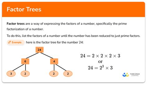 factor trees elementary math steps examples questions