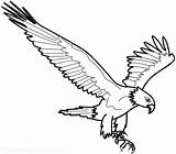 Aigle Aguila Aquila Sketsa Coloring Aguilas Aquile Burung águila Gratuit Coloriages Mafaldas Elang Hantu Prodigue Disegni Colorare Merak Garuda Simbolismo sketch template