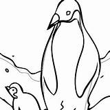 Penguin Iceberg sketch template