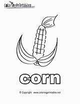 Cob Noun Stalk Popular sketch template