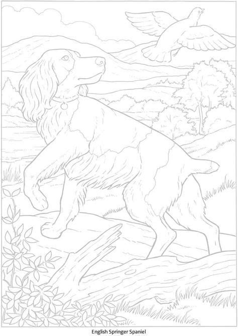 dogcoloring horse coloring pages dog coloring page spaniel art