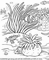 Coloring Reef Coral Pages Aquarium Choose Board Dover Kids sketch template