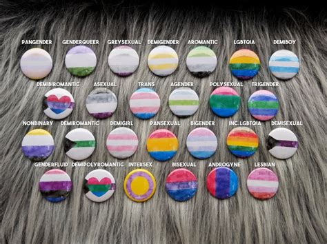 asexual biromantic badge pride pins etsy