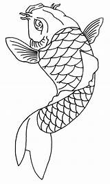 Koi Fish Outline Drawing Tattoo Drawings Simple Stencil Japanese Template Photobucket Painting Carp Gif Tattoos Aztec Paintingvalley Collection sketch template