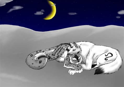 The Wolf And The Snow Leopard By Frostthecat On Deviantart