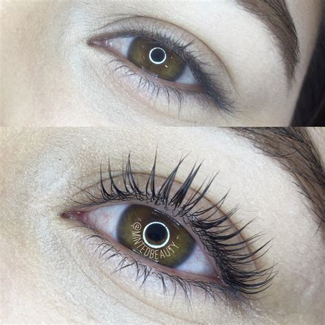 lash lift elleebana official