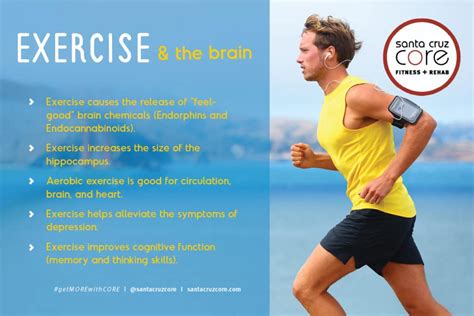 how exercise benefits the brain santa cruz core fitness