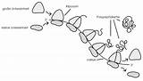 Proteinbiosynthese Ribosomen Studyhelp Lernen Lösungen Aufgaben Erklärungen Lernheft Abi sketch template