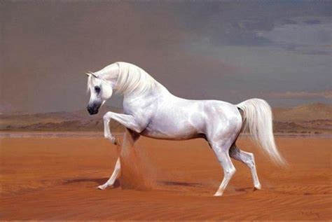 cheval blanc chateau  montellier