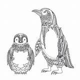 Mandala Mandalas Pinguinos Pinguine Tundra Penguins Muster Tiere sketch template