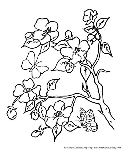 summer coloring kids summer trees  flowers coloring page sheets
