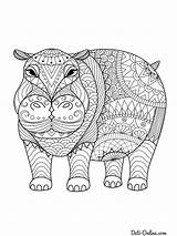 Volwassenen Nijlpaard Adult Hippopotamus Leukekleurplaten Nilpferd Ausmalbilder Paard Erwachsene Coloringpage Herdershond Ausdrucken Besteausmalbilder Moeilijke Lente Olifant sketch template
