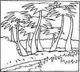 Palmeras Colorir Palmeira Vegetation Coloriage Palmier Palme Kokospalmen Ausmalbild Supercoloring Umriss Imprimer Palms Palmwedel Malvorlage Contorno Cocoteros Kategorien Imprimé Wasisange1935 sketch template