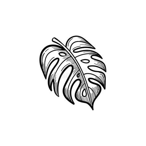 palm leaf hand drawn sketch icon stock vector illustration  root
