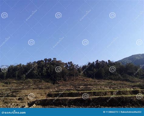 heuvels stock afbeelding image  droog landschap
