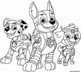 Patrouille Pups Mighty Chase Patrulha Canina Marshall Colouring Everest Skye Personnage Sky Puppies sketch template