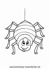 Spinne Ausmalbilder Insekten Ausmalbild Spinnen Malvorlage Kindergarten Gruselig Prinzessin Lucas Klicke Auszudrucken Marienkäfer Herbst sketch template