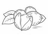 Coloring Lychee Pages Open Whole Printable Drawing Template Supercoloring sketch template