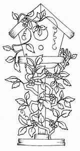 Coloring Pages Bird House Flowers Covered Print Utilising Button Sheet Grab Easy Also Kids Size sketch template