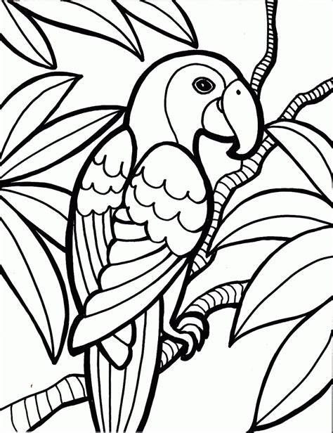 printable rainforest coloring pages