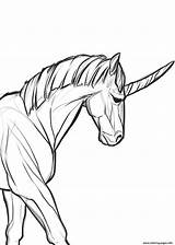 Coloring Pages Unicorn Realistic Real Printable Print Drawing sketch template