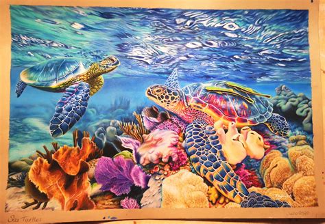 sea turtles coloured pencil drawing drawing