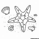Starfish Coloring Line Shell Drawing Two Star Clipart Fish Color Getdrawings Library Collection sketch template