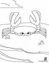 Coloring Crab Pages Printable Kids Choose Board Print Color sketch template