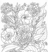 Coloring Summer Pages Flowers Printable Adults Adult Online Color Colouring Print Flower Sheets Coloriage Adulte Google Es Getcolorings Books Therapy sketch template