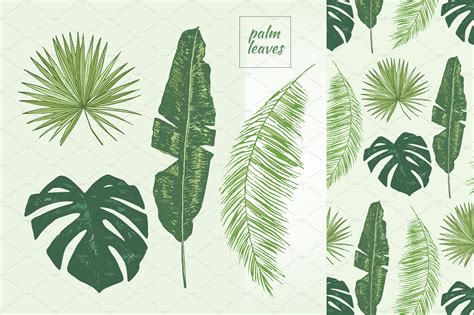 palm leaves decorative illustrations creative market