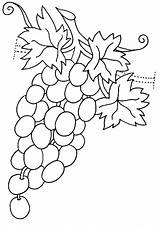 Coloring Grapes Pages Fruits Vegetables Print Coloringtop sketch template