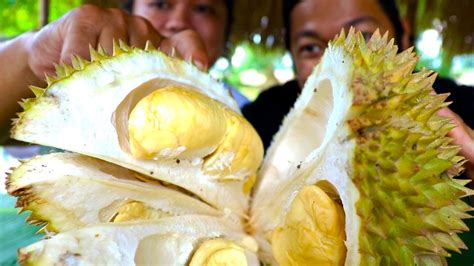 durian challenge youtube