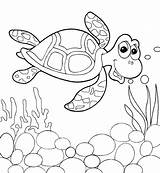 Coloring Pages Cute Turtle Sea Getcolorings Turtles Color sketch template